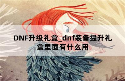 DNF升级礼盒_dnf装备提升礼盒里面有什么用 第二张图