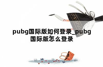 pubg国际版如何登录_pubg国际版怎么登录 第二张图