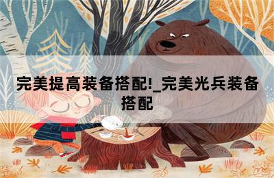 完美提高装备搭配!_完美光兵装备搭配 第二张图