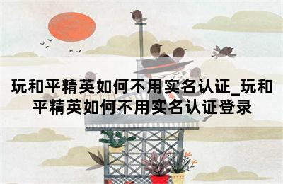 玩和平精英如何不用实名认证_玩和平精英如何不用实名认证登录 第二张图