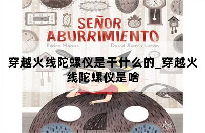 穿越火线陀螺仪是干什么的_穿越火线陀螺仪是啥 第二张图