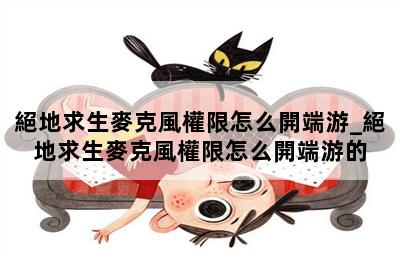 絕地求生麥克風權限怎么開端游_絕地求生麥克風權限怎么開端游的 第二張圖