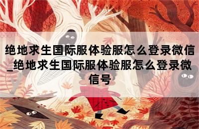 绝地求生国际服体验服怎么登录微信_绝地求生国际服体验服怎么登录微信号 第二张图