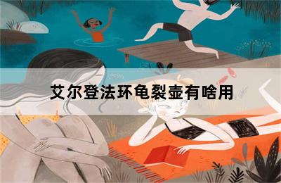 艾尔登法环龟裂壶有啥用 第二张图