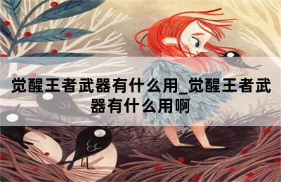 觉醒王者武器有什么用_觉醒王者武器有什么用啊 第二张图