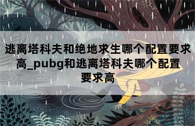 逃离塔科夫和绝地求生哪个配置要求高_pubg和逃离塔科夫哪个配置要求高 第二张图