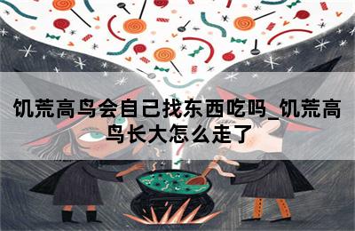 饥荒高鸟会自己找东西吃吗_饥荒高鸟长大怎么走了 第二张图