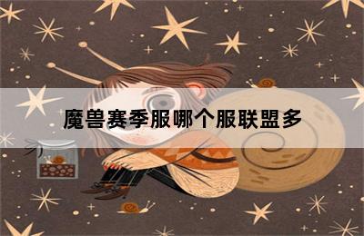 魔兽赛季服哪个服联盟多 第二张图